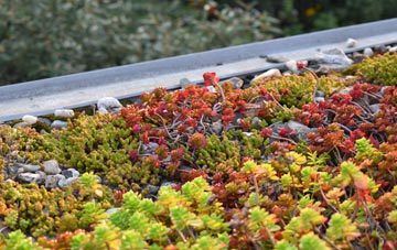 the cost of Hare green roof installation
