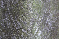 Hare fibreglass roof work